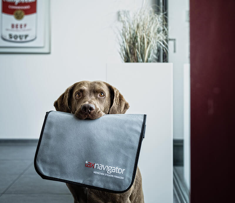 taxnavigator Hund mit Tasche